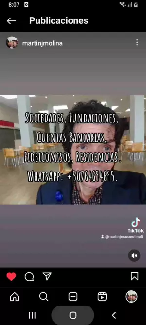 Sociedades Anónimas.