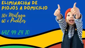 Eliminación de Piojos a Domicilio