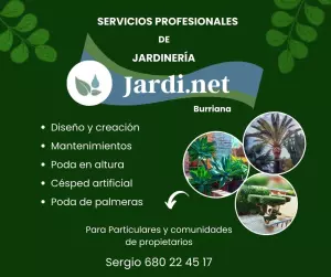 Jardinero Jardinería Poda de palmeras Mantenimiento