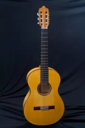 Clases de guitarra clasico/flamenco