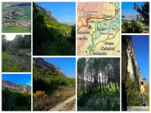 HERMOSO PINAR CON TERRENO + MICROCLIMA