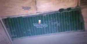 Vendo empresa agraria