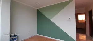 PINTOR PROFESIONAL PARTICULAR