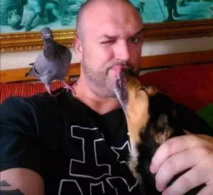 Servicios para animales