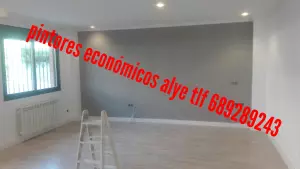pintores economicos en majadahonda 689289243 españoles