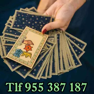 Profesionales,sinceros y certeros 30 min 9 eur