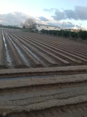 Me ofrezco para llevar tierras