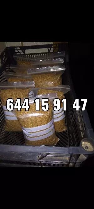 Venta de Tabaco de Primera Calidad | Envío a Toda España