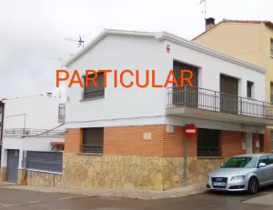PARTICULAR