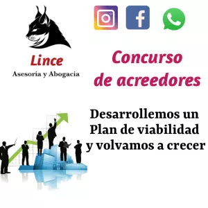 Lince Asesoría y Abogacía
