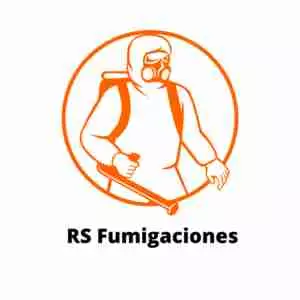 Fumigacion de chinches