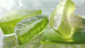Te gustaría ganar un extra vendiendo productos de aloe vera?