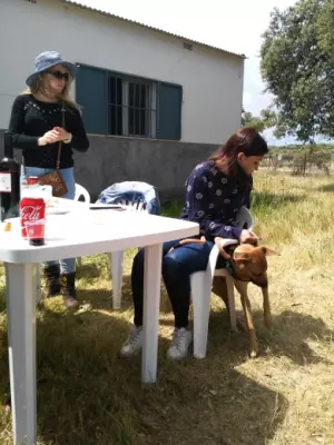 Venta Parcela de Recreo con Casa de Campo cerca de la Ribera Fresnedosa