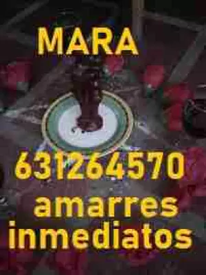 AMARRES DE AMOR ETERNOS, VIDENTE,