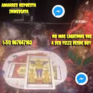 AMARRES RESPUESTA INMEDIATA, NO MAS LAGRIMAS