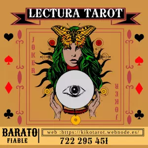 VIDENTE BARATA Y FIABLE VIDENCIA 100%