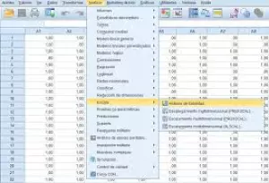 Necesitas instalar el programa spss y no lo encuentras