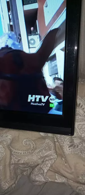 televisor hd led 19pulgada en bue estado
