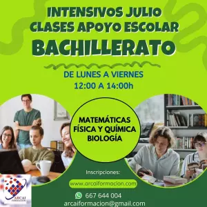 Clases intensivas de apoyo escolar para bachillerato