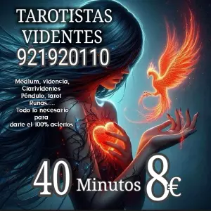 CONSULTA VIDENTES
