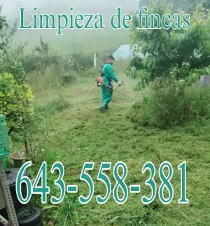 Mantenimiento desbroce poda de setos jardinero