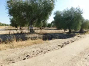 se vende terreno