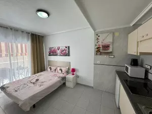 REFORMADO ESTUDIO EN EL CENTRO DE TORREVIEJA. 27 M2. LICENCIA TURISTICA. PLAYA A 850 METROS.
