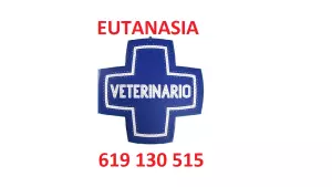 EUTANASIA DE ANIMALES a DOMICILIO