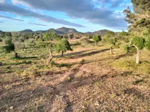 Rural building plot with project