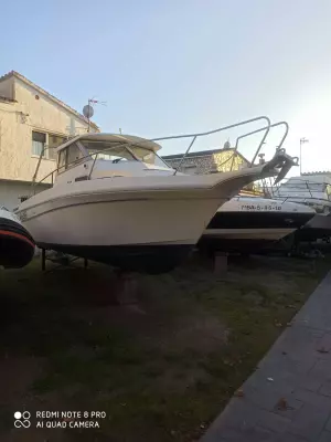 Rodman 790