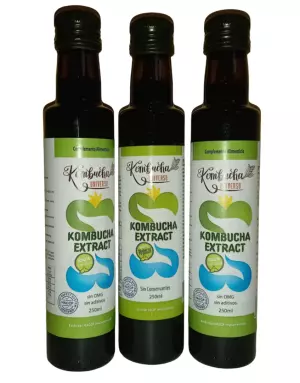 Pack 2+1 Extracto de Kombucha 750 ml 100% Natural