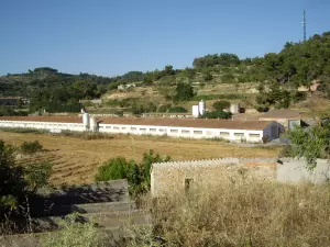 VENDO GRANJA AVICOLA