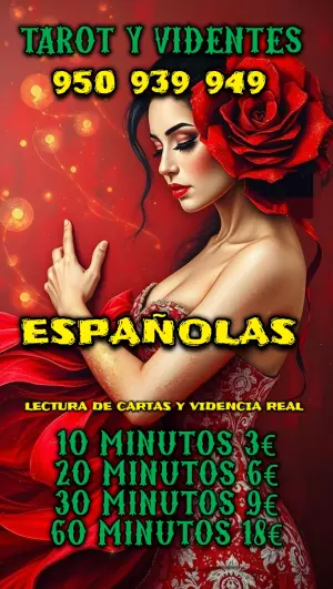 VIDENTES 24 HORAS