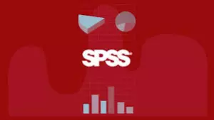 AYUDA  EN EL PROGRAMA  SPSS, ON LINE Y PRESENCIAL