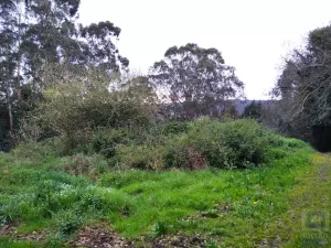 Finca rústica en Logrezana, (Carreño) Asturias, 4.097 m2
