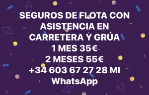 Asegura tu vehículo aquí