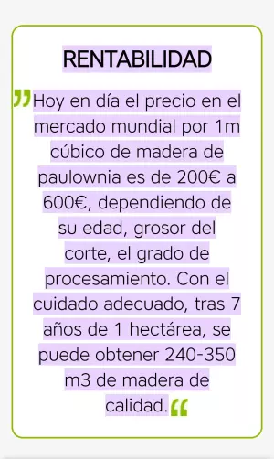 Plantones de Paulownias para Maderable