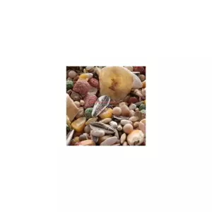 MIXTURA LOROS PROFES. FRUTAS BOLSA 800GR