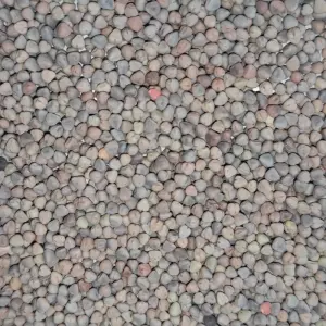 Saco de Yeros Rojos 25kg | Alta Calidad para Aves