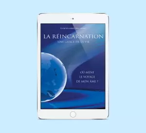 PDF La réincarnation La vie après la mort