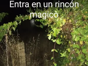 Zamoa.tu gitana.