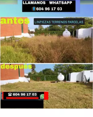 Limpieza terrenos parcelas villas solar