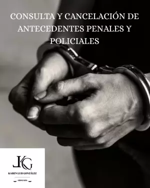 ANTECEDENTES PENALES Y/O POLICIALES