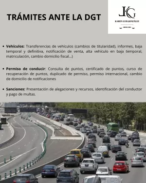 TRÁMITES ANTE LA DGT