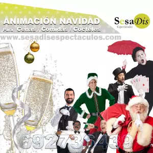Animación para fiestas de Navidad