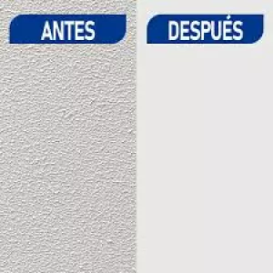 PINTORES INTERIORES ECONÓMICO