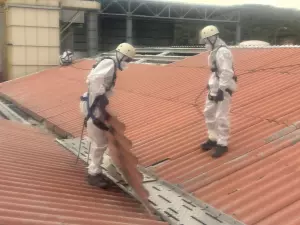 PRECIO RETIRADA DE AMIANTO EN TOLEDO
