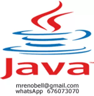 APLICACIONES JAVA PARA SU NEGOCIO