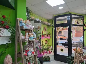 Traspaso Floristería con 30 años de historia zona mestalla