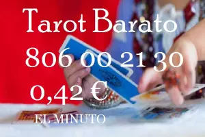 Lectura De Tarot En Línea | Tarotistas